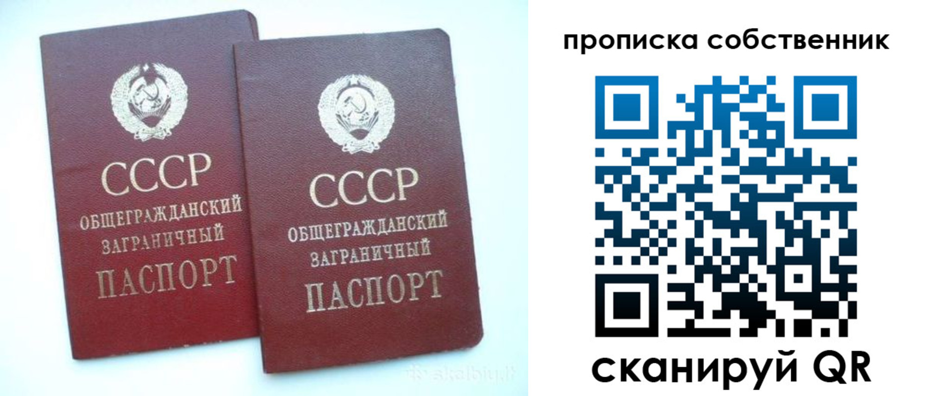 регистрация для школы в Орловской области